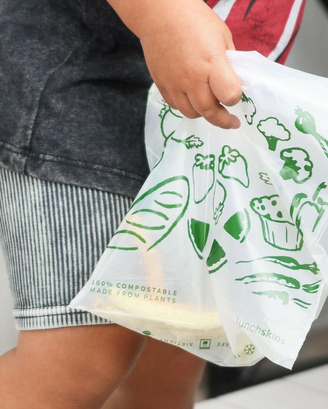 Image of Ziptop Compostable Freezer-Safe Sandwich Storage Bags - Lunchskins